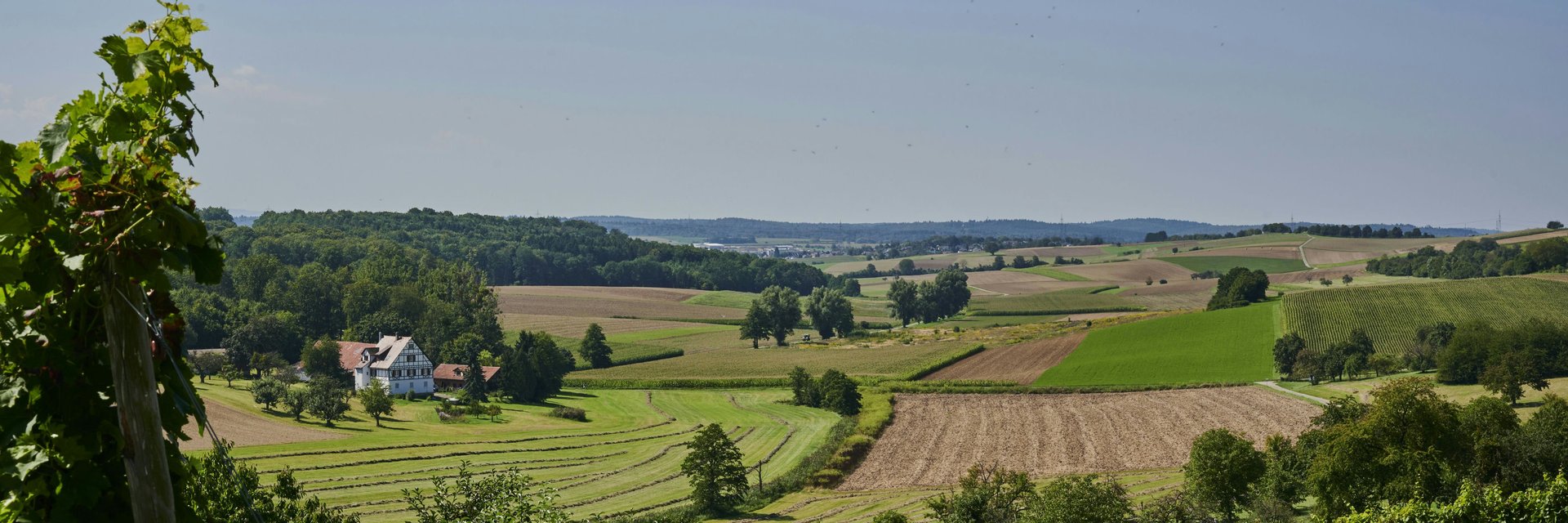 Oberderdingen im Sommer | Kraichgau-Stromberg Tourismus | Wohnmobiltouren in Baden-Württemberg | © Christian Ernst