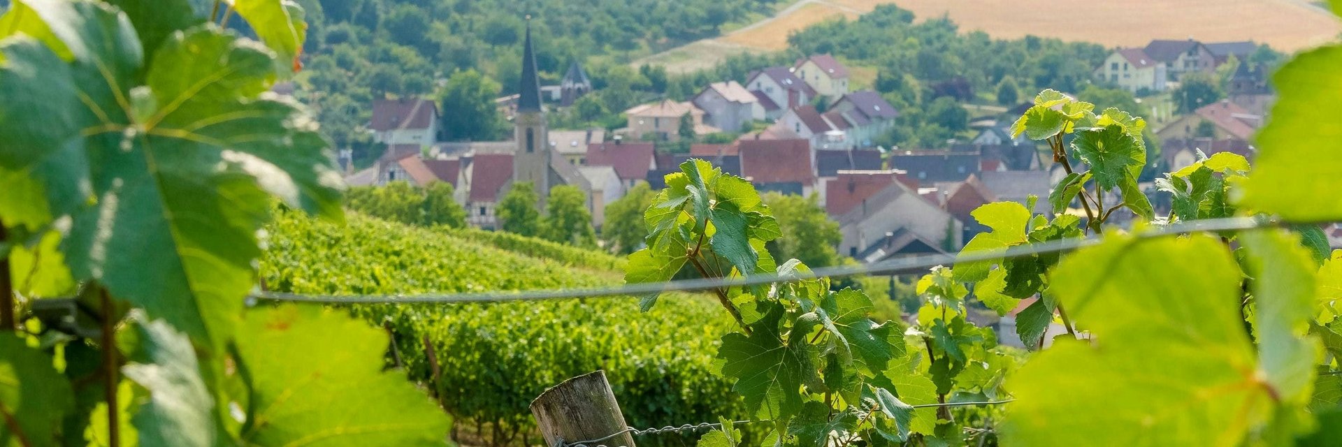Blick auf Beckstein | Liebliches Taubertal | Wohnmobiltouren in Baden-Württemberg | © Tom Weller