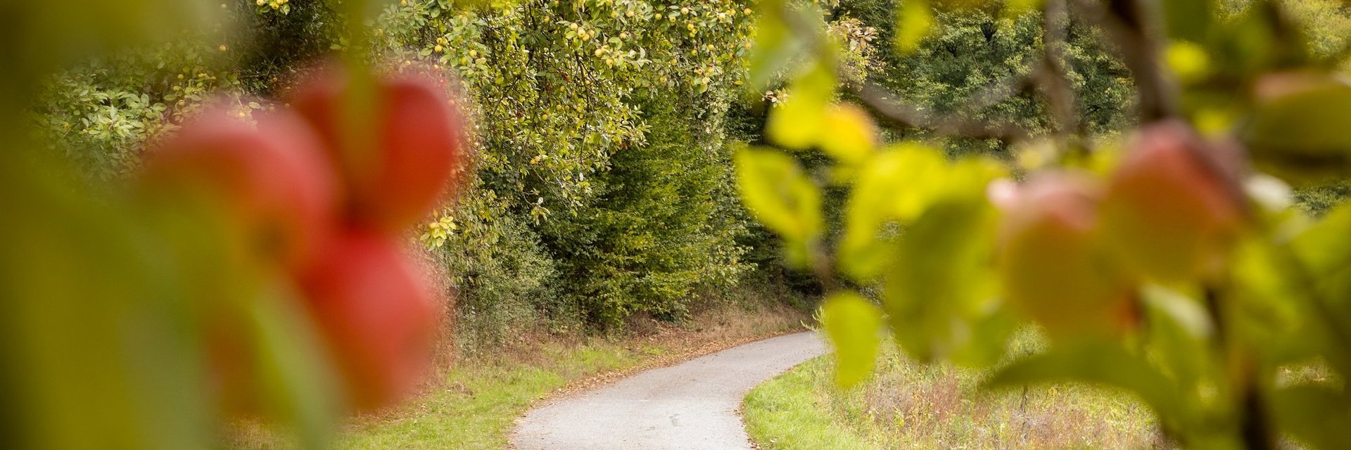 s'Äppele Wanderweg | Backnanger Bucht | © Landratsamt Rems-Murr-Kreis/Thomas Kargl