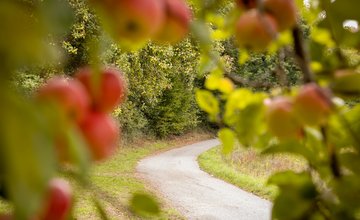 s'Äppele Wanderweg | Backnanger Bucht | © Landratsamt Rems-Murr-Kreis/Thomas Kargl