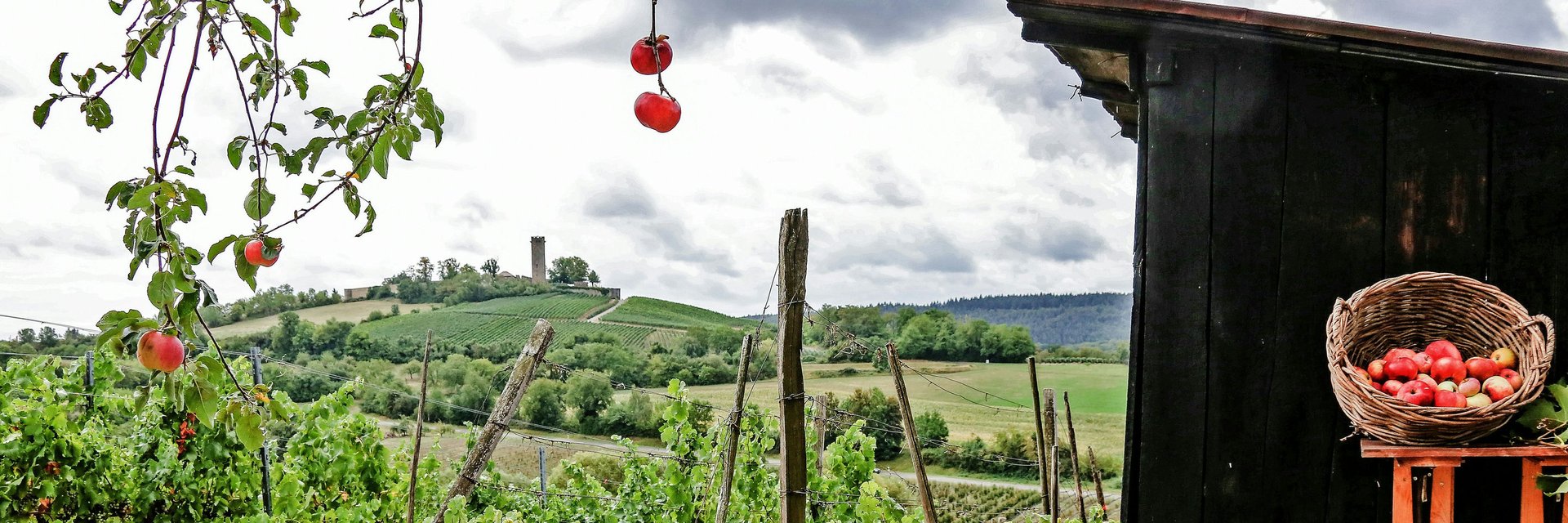 Sulzfeld Ravensburg | Kraichgau-Stromberg Tourismus | Wohnmobiltouren in Baden-Württemberg | © Thomas Rebel