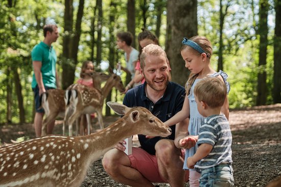 Wildparadies Tripsdrill | © Christoph Düpper | Erlebnispark Tripdrill