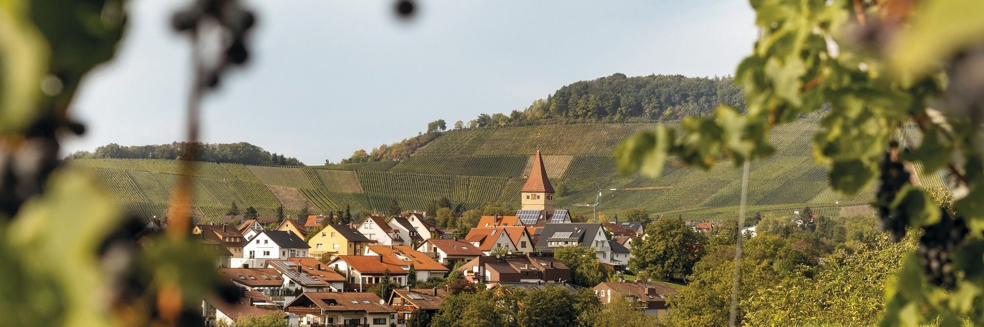 Starrenweg bei Korb | Remstal| © Landratsamt Rems-Murr-Kreis/Thomas Kargl