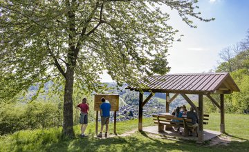 Qualitätswanderweg Neckarsteig bei Neckargerach | Touristikgemeinschaft Odenwald | Wohnmobiltouren in Baden-Württemberg | © Barbara Wagner