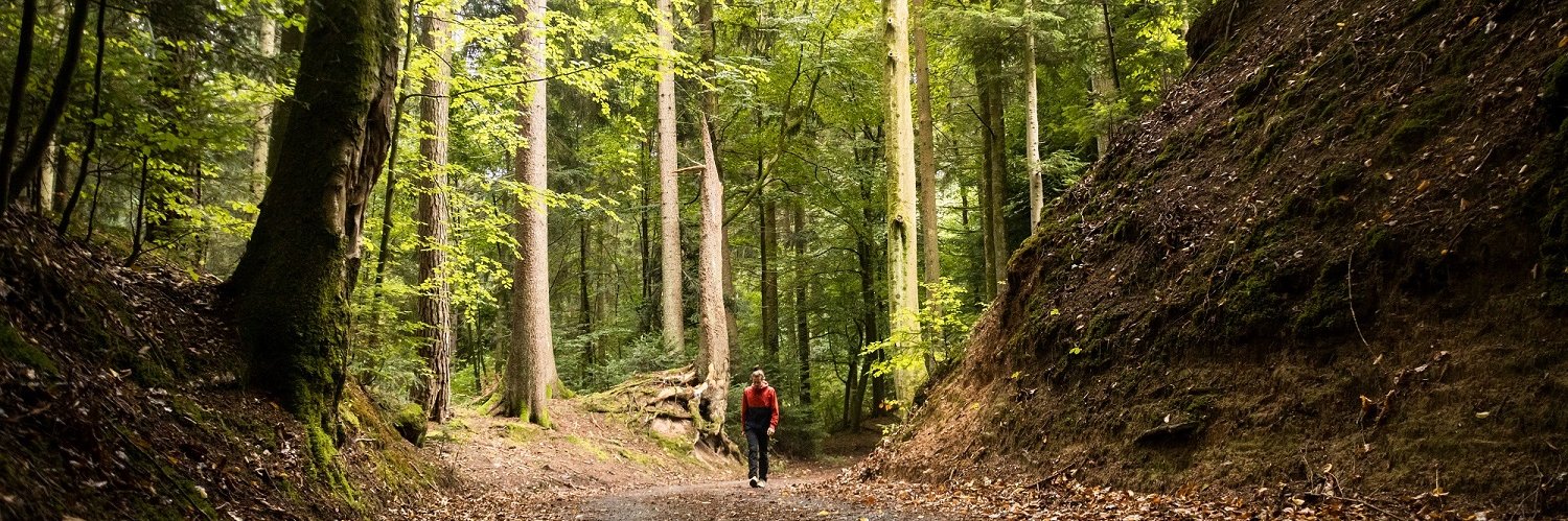 Idyllische Straße Tour B bei Althütte | Schwäbischer Wald | © Landratsamt Rems-Murr-Kreis/Thomas Kargl